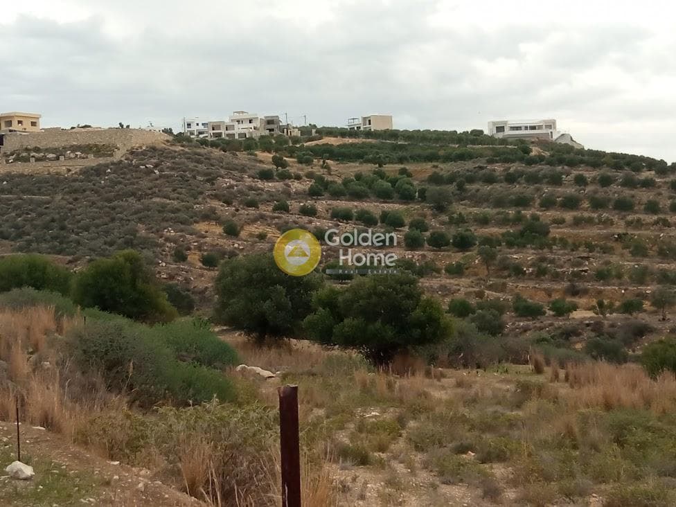 Αγροτεμάχιο στην Καμηλάρι, Τυμπάκι — Φωτογραφία 7 από 21