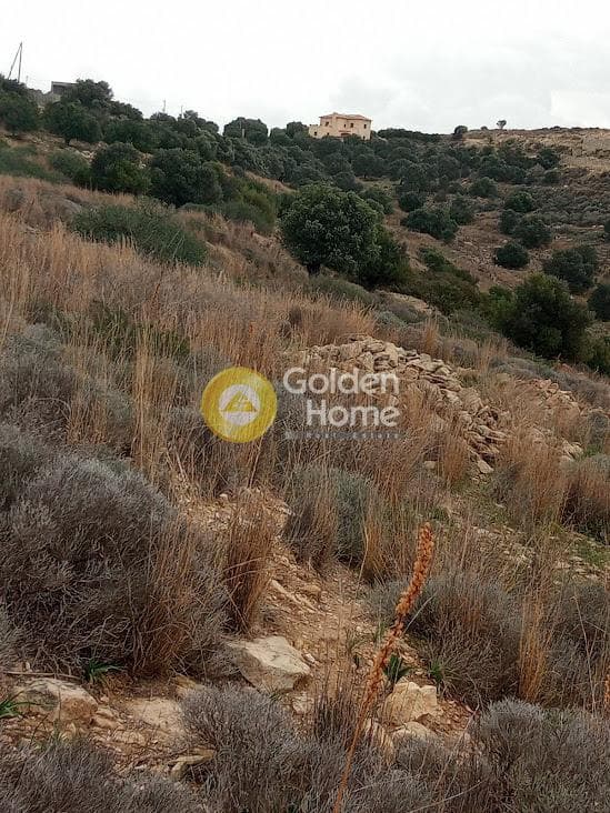 Αγροτεμάχιο στην Καμηλάρι, Τυμπάκι — Φωτογραφία 6 από 21