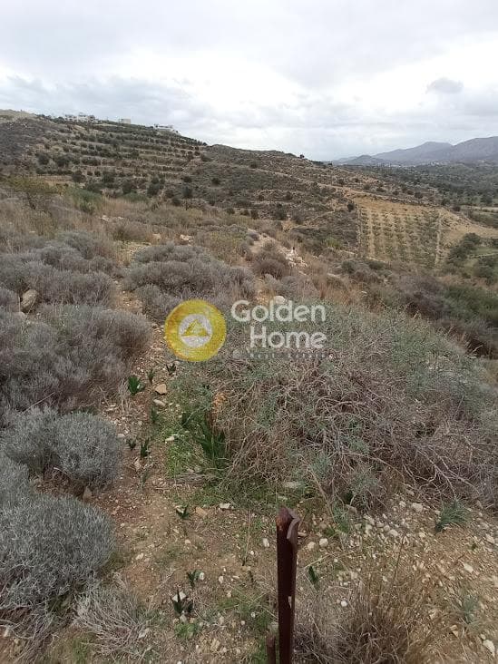 Αγροτεμάχιο στην Καμηλάρι, Τυμπάκι — Φωτογραφία 8 από 21
