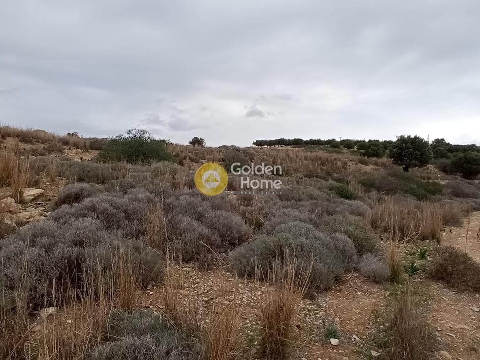 Αγροτεμάχιο στην Καμηλάρι, Τυμπάκι — Φωτογραφία 9 από 21
