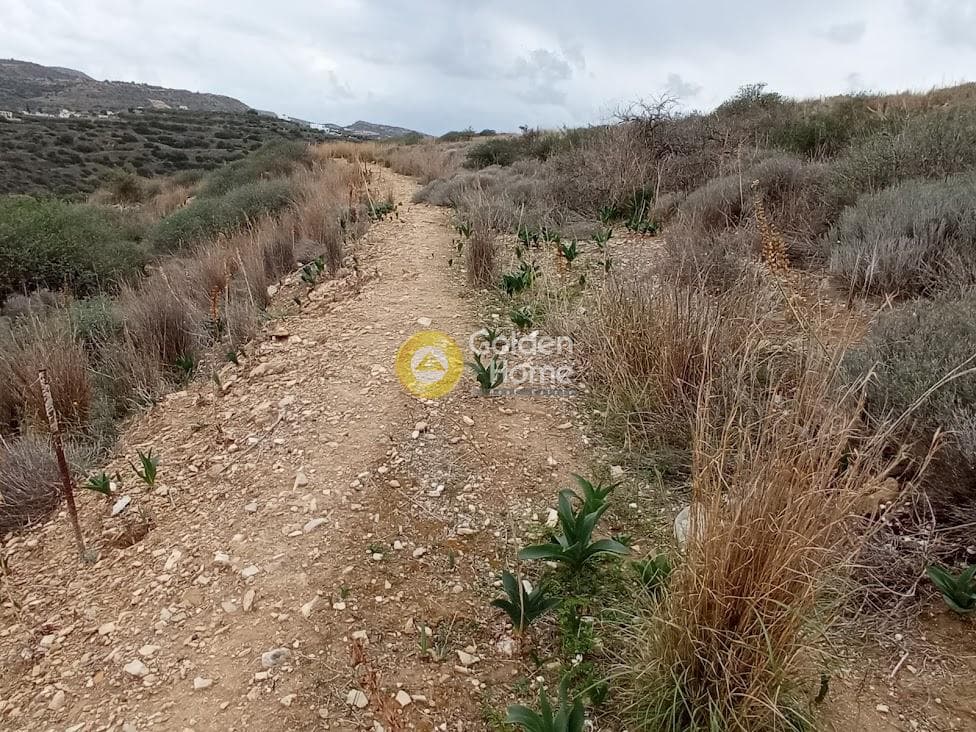 Αγροτεμάχιο στην Καμηλάρι, Τυμπάκι — Φωτογραφία 1 από 21