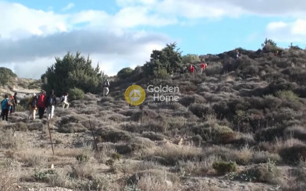 Αγροτεμάχιο στην Καμηλάρι, Τυμπάκι — Φωτογραφία 15 από 21