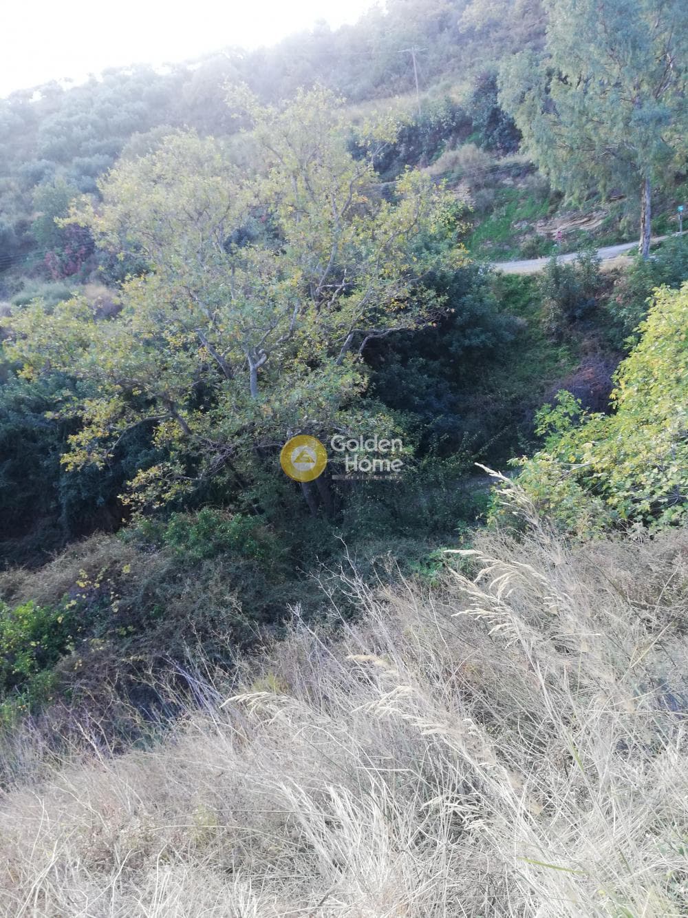 Parcel in Kapetanaki Metochi, Gazi — Photo 5 of 11