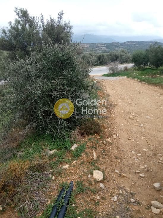 Αγροτεμάχιο στην Νέο Καλαμάκι, Τυμπάκι — Φωτογραφία 1 από 17
