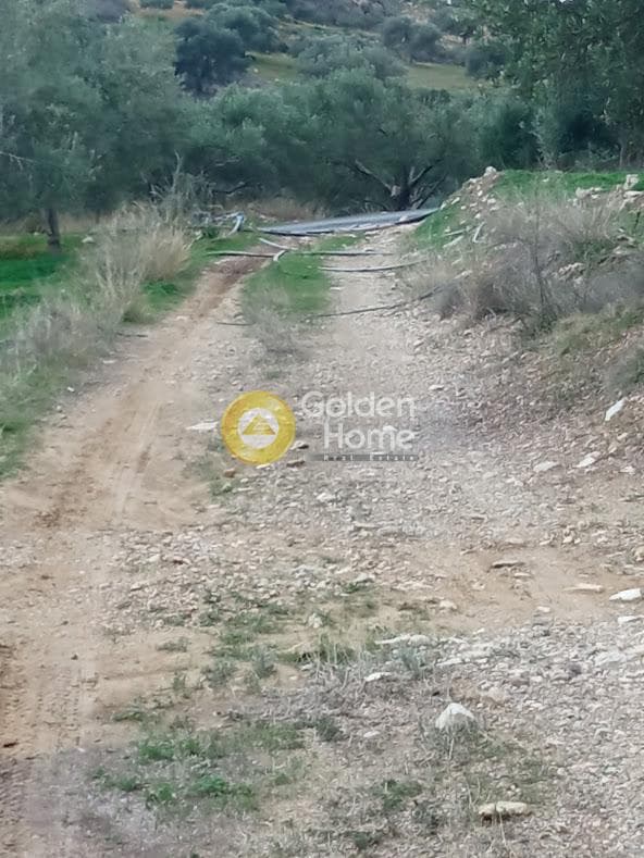 Αγροτεμάχιο στην Νέο Καλαμάκι, Τυμπάκι — Φωτογραφία 2 από 17