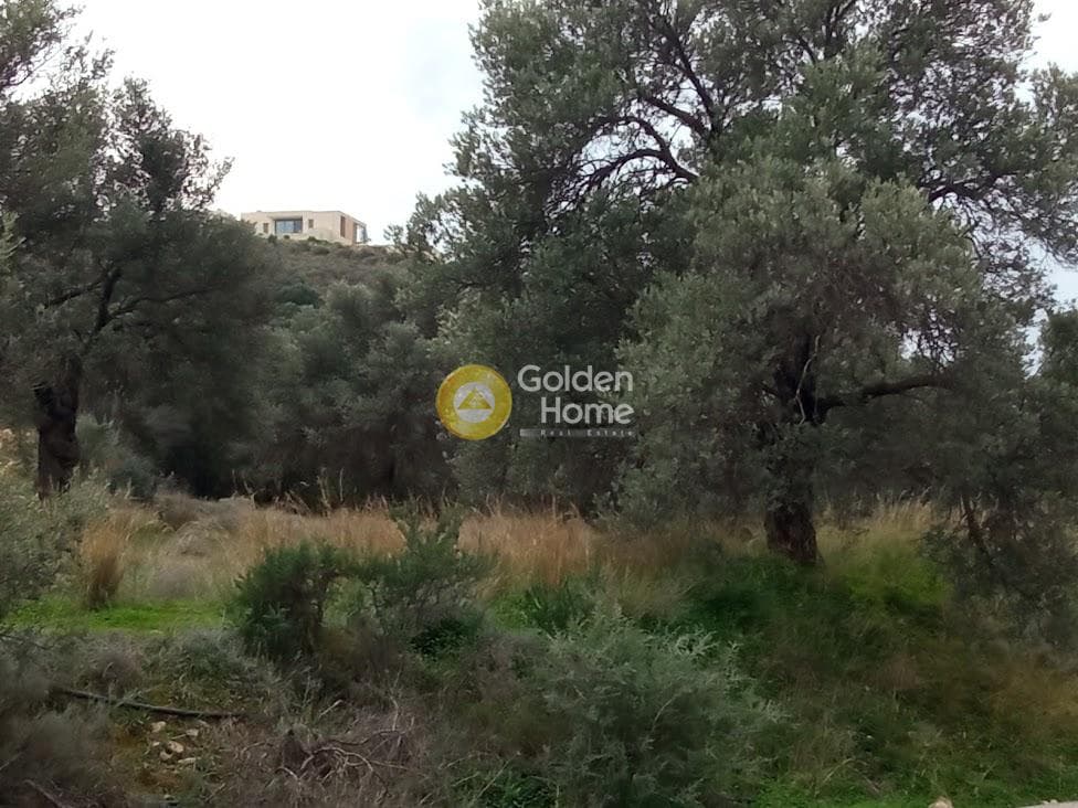 Αγροτεμάχιο στην Νέο Καλαμάκι, Τυμπάκι — Φωτογραφία 12 από 17