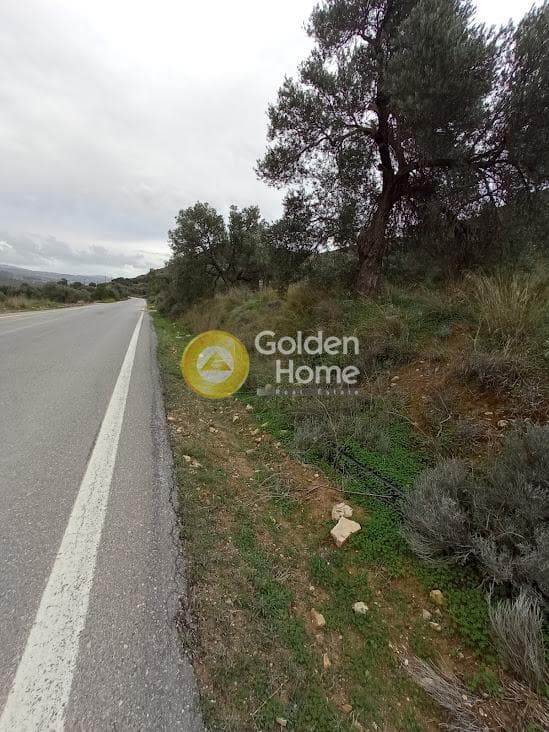 Αγροτεμάχιο στην Νέο Καλαμάκι, Τυμπάκι — Φωτογραφία 11 από 17