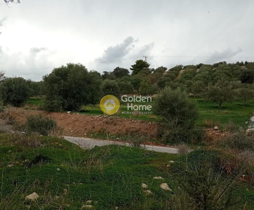 Αγροτεμάχιο στην Νέο Καλαμάκι, Τυμπάκι — Φωτογραφία 15 από 17