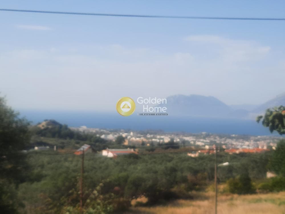 Μονοκατοικία στην Πλατάνι, Ρίο — Φωτογραφία 28 από 37