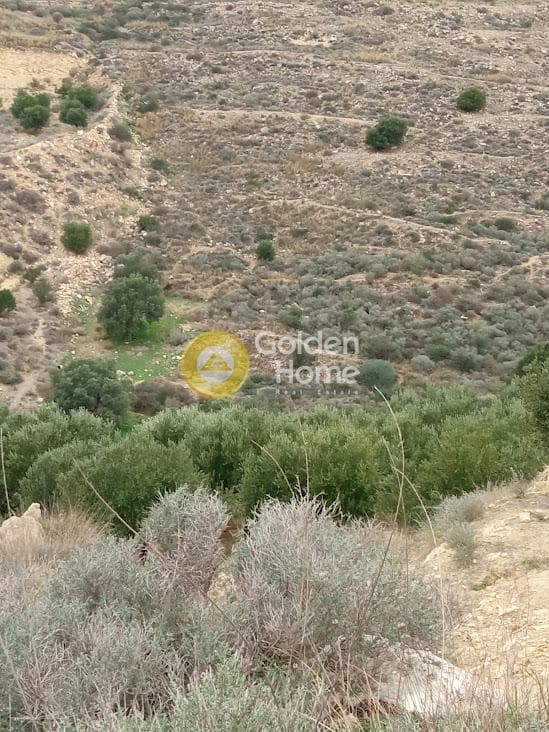 Αγροτεμάχιο στην Νέο Καλαμάκι, Τυμπάκι — Φωτογραφία 3 από 8