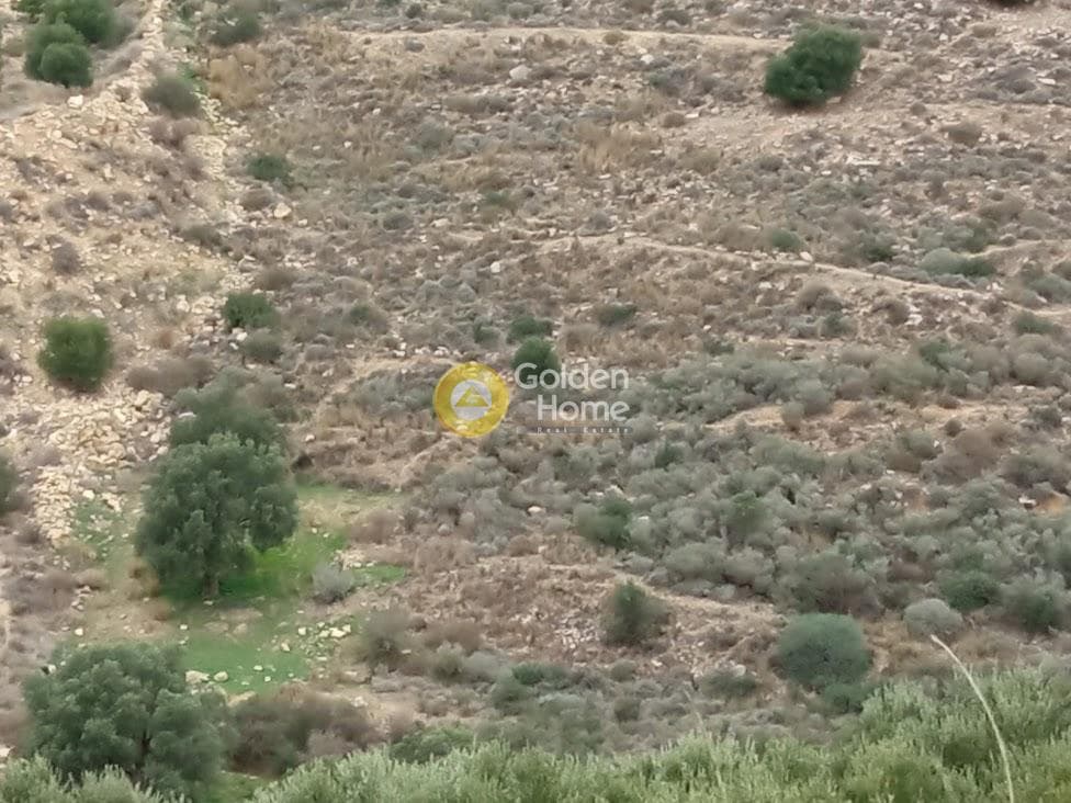 Αγροτεμάχιο στην Νέο Καλαμάκι, Τυμπάκι — Φωτογραφία 5 από 8