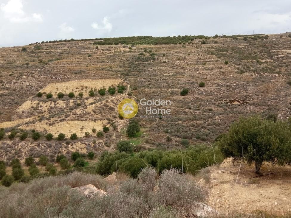 Αγροτεμάχιο στην Νέο Καλαμάκι, Τυμπάκι — Φωτογραφία 1 από 8