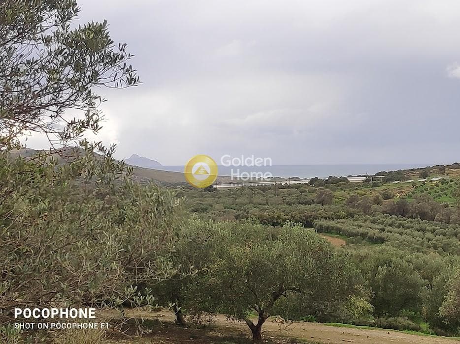 Αγροτεμάχιο στην Καμηλάρι, Τυμπάκι — Φωτογραφία 3 από 16