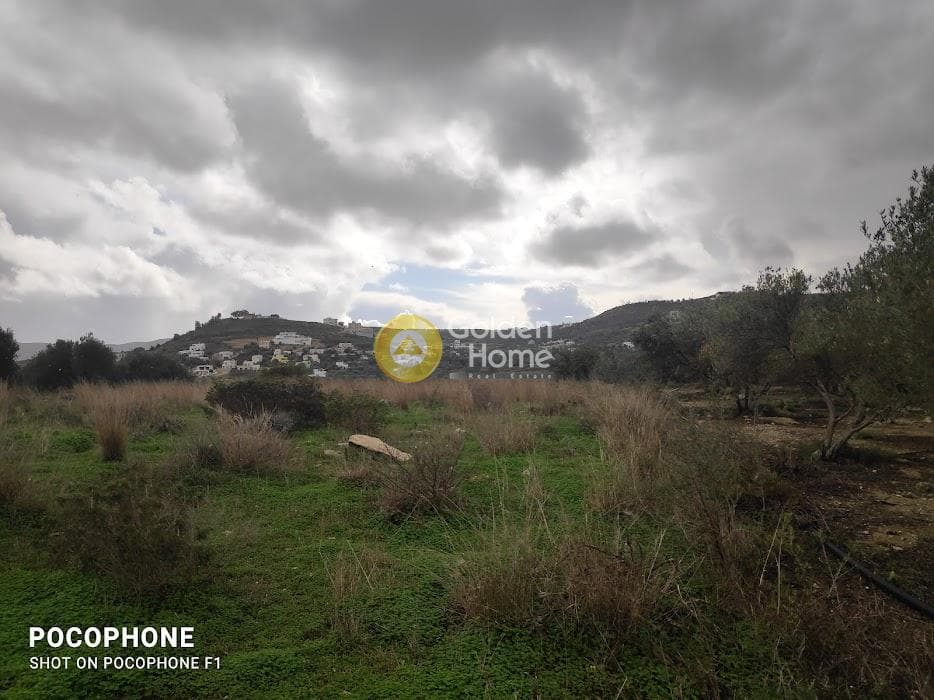 Αγροτεμάχιο στην Καμηλάρι, Τυμπάκι — Φωτογραφία 6 από 16