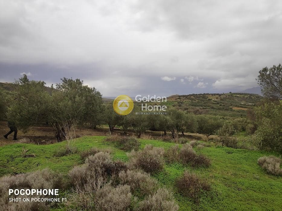 Αγροτεμάχιο στην Καμηλάρι, Τυμπάκι — Φωτογραφία 7 από 16