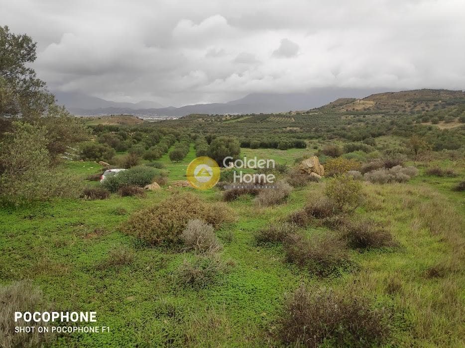 Αγροτεμάχιο στην Καμηλάρι, Τυμπάκι — Φωτογραφία 13 από 16