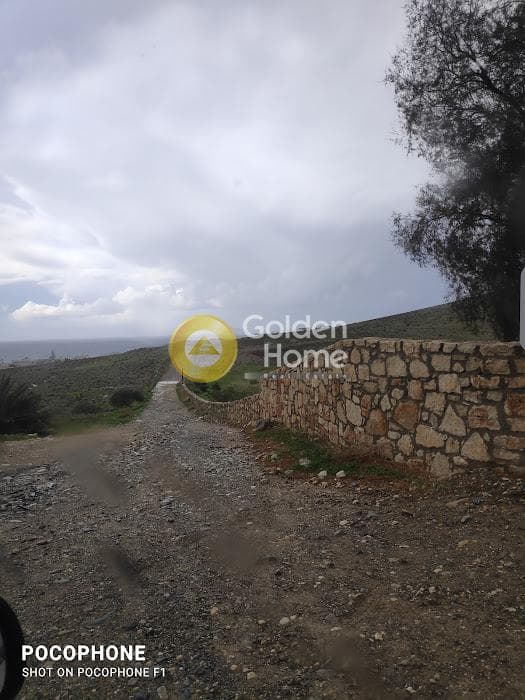 Αγροτεμάχιο στην Καλαμάκι, Τυμπάκι — Φωτογραφία 4 από 15