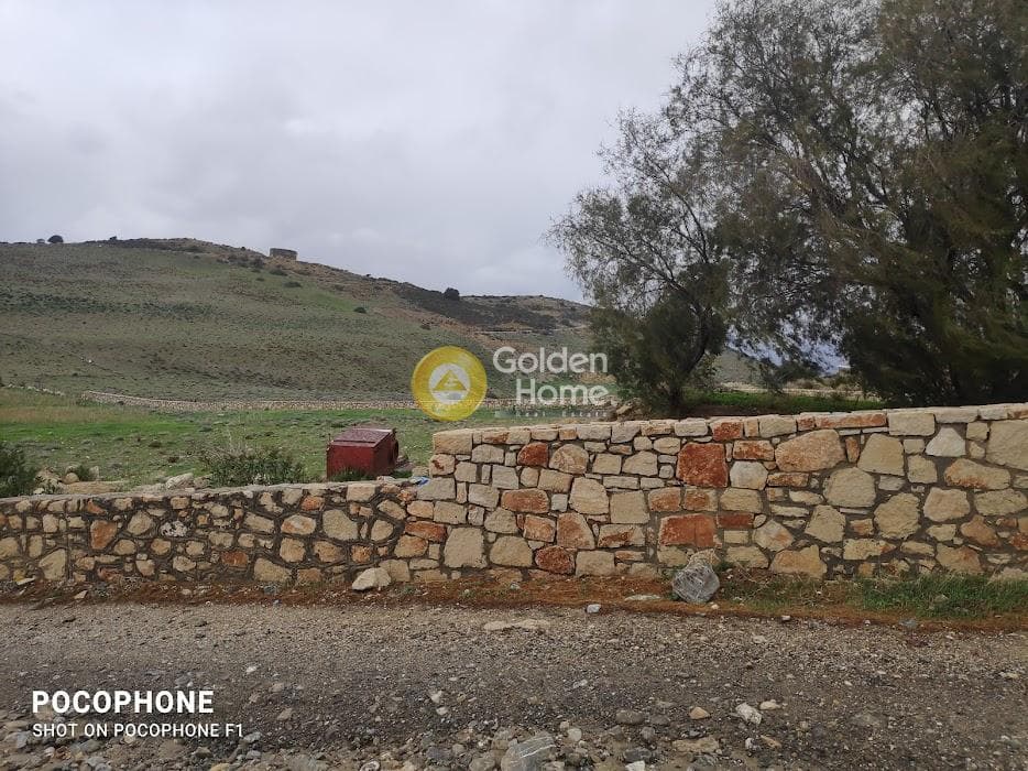 Αγροτεμάχιο στην Καλαμάκι, Τυμπάκι — Φωτογραφία 15 από 15