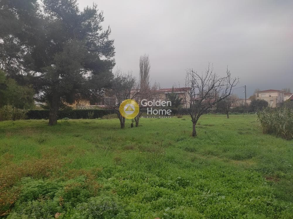 Building Plot in Center, Agios Stefanos — Photo 3 of 3