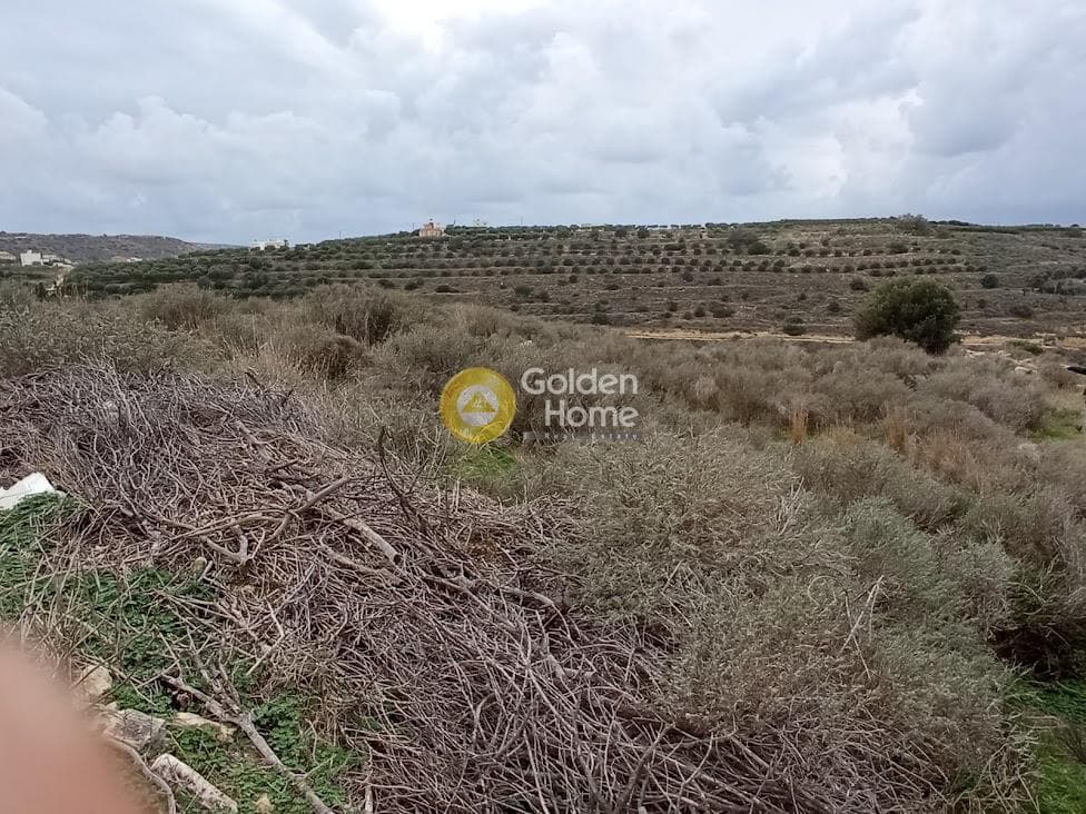 Αγροτεμάχιο στην Νέο Καλαμάκι, Τυμπάκι — Φωτογραφία 2 από 11