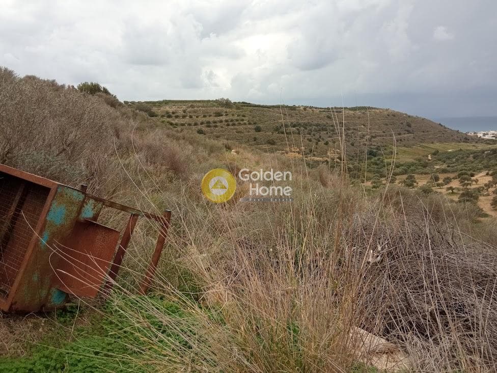 Αγροτεμάχιο στην Νέο Καλαμάκι, Τυμπάκι — Φωτογραφία 3 από 11