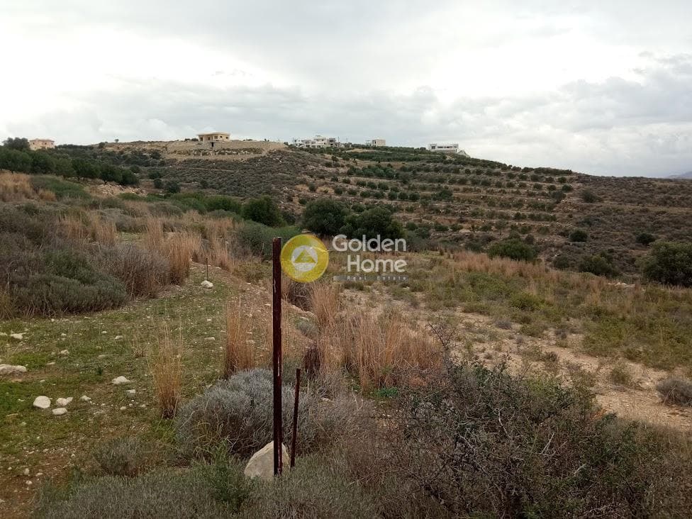 Αγροτεμάχιο στην Νέο Καλαμάκι, Τυμπάκι — Φωτογραφία 1 από 11