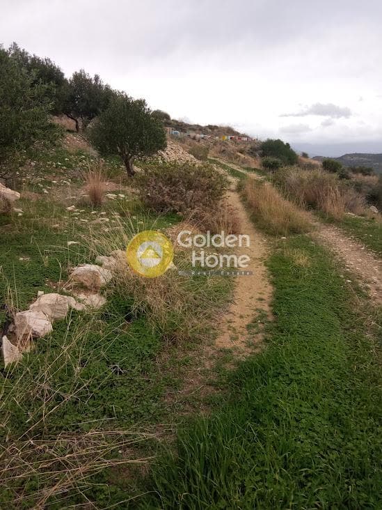 Αγροτεμάχιο στην Καμηλάρι, Τυμπάκι — Φωτογραφία 1 από 22