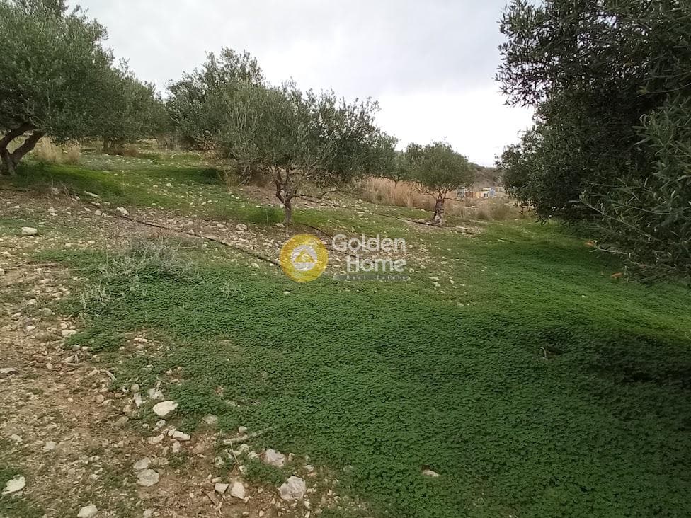 Αγροτεμάχιο στην Καμηλάρι, Τυμπάκι — Φωτογραφία 3 από 22