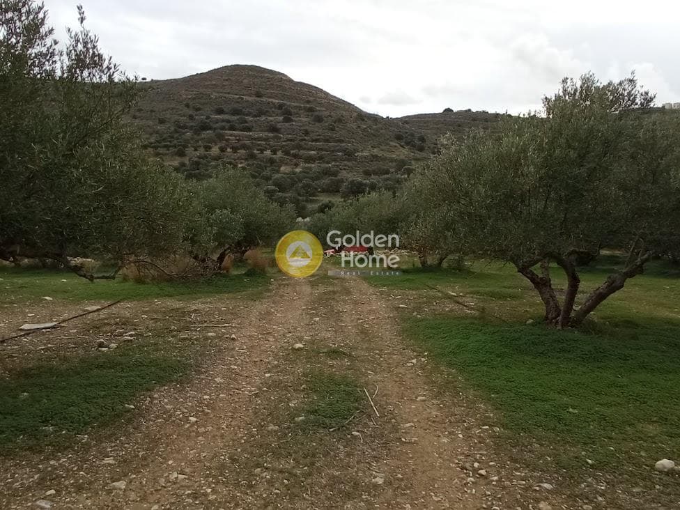 Αγροτεμάχιο στην Καμηλάρι, Τυμπάκι — Φωτογραφία 4 από 22