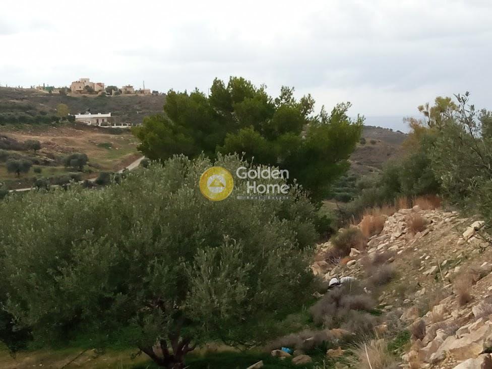 Αγροτεμάχιο στην Καμηλάρι, Τυμπάκι — Φωτογραφία 9 από 22
