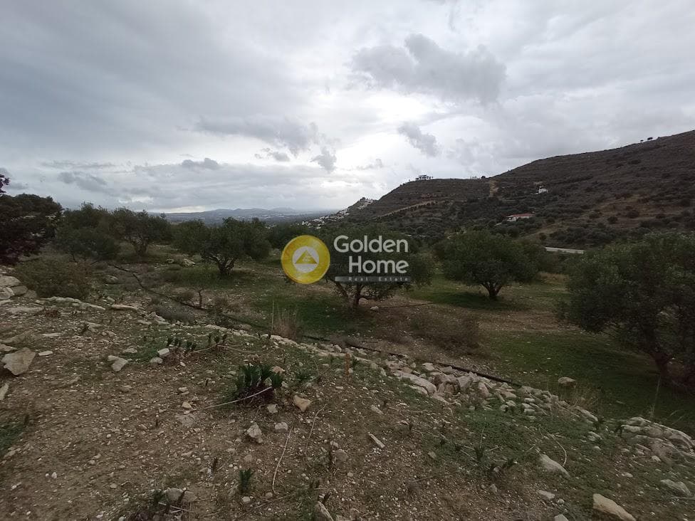 Αγροτεμάχιο στην Καμηλάρι, Τυμπάκι — Φωτογραφία 10 από 22