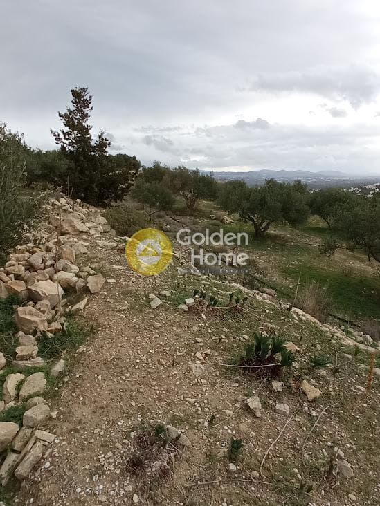 Αγροτεμάχιο στην Καμηλάρι, Τυμπάκι — Φωτογραφία 8 από 22