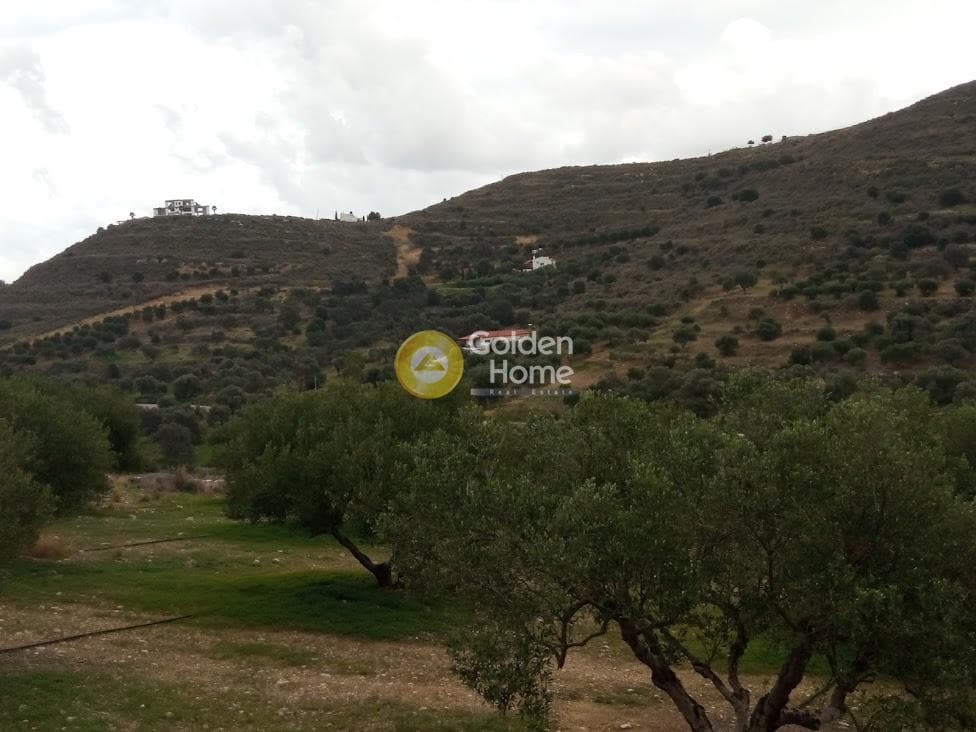 Αγροτεμάχιο στην Καμηλάρι, Τυμπάκι — Φωτογραφία 14 από 22