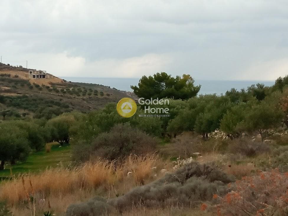 Αγροτεμάχιο στην Καμηλάρι, Τυμπάκι — Φωτογραφία 15 από 22