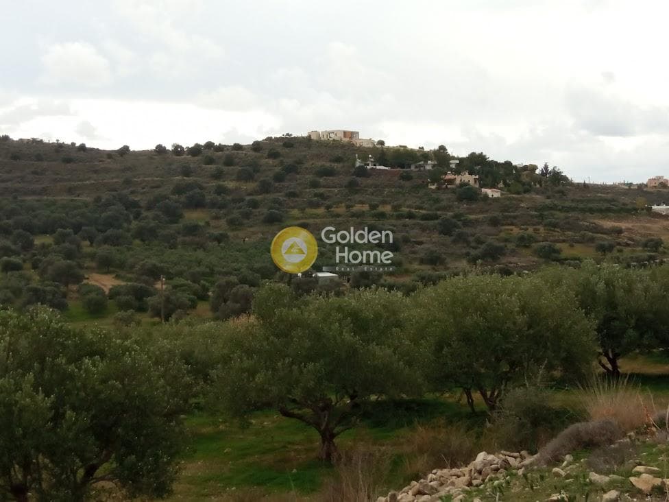 Αγροτεμάχιο στην Καμηλάρι, Τυμπάκι — Φωτογραφία 16 από 22