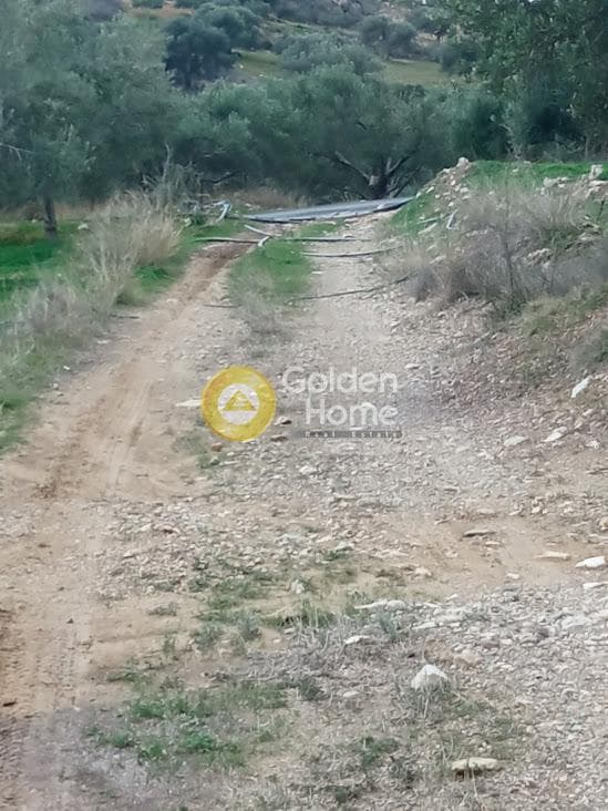 Αγροτεμάχιο στην Καμηλάρι, Τυμπάκι — Φωτογραφία 17 από 22