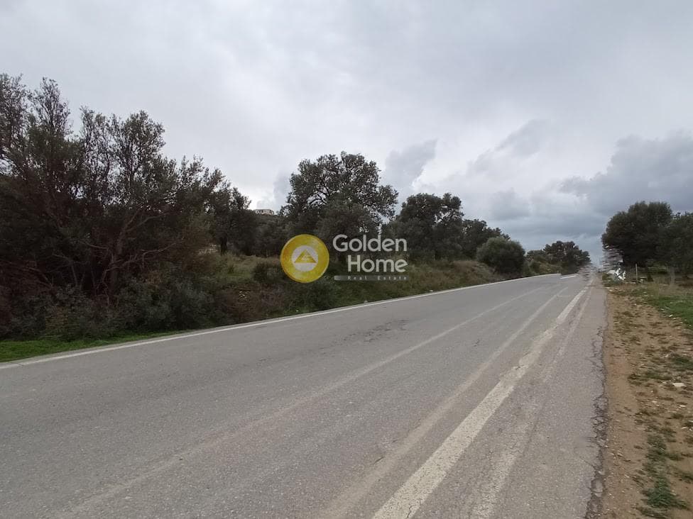 Αγροτεμάχιο στην Καμηλάρι, Τυμπάκι — Φωτογραφία 21 από 22