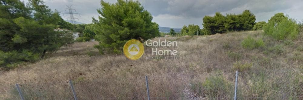 Parcel in Agioi Theodoroi, Anoixi — Photo 1 of 2