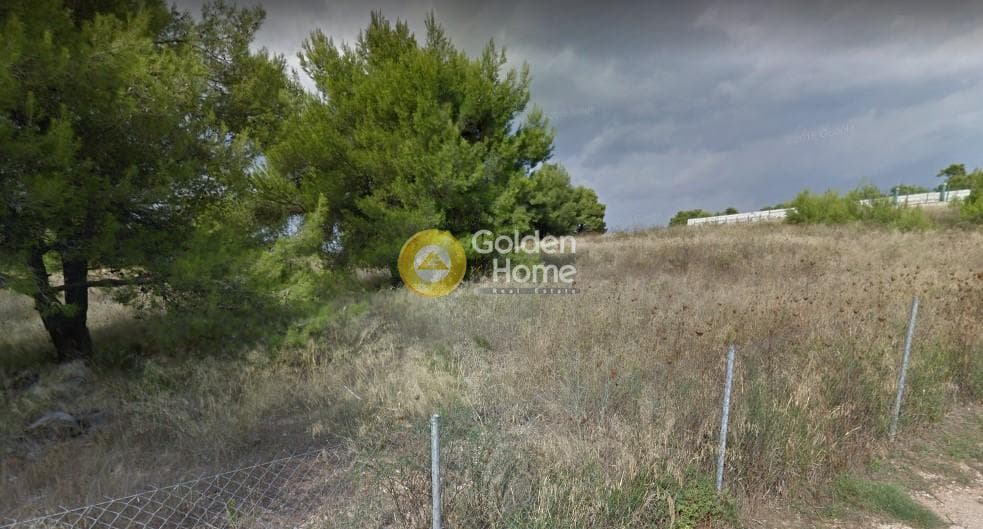Parcel in Agioi Theodoroi, Anoixi — Photo 2 of 2