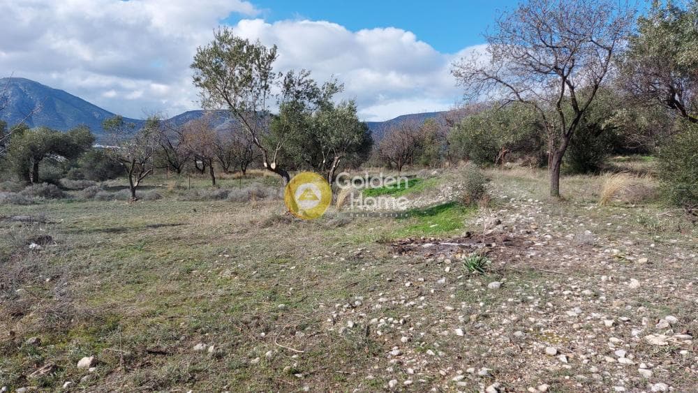 Parcel in Center, Koropi — Photo 1 of 8