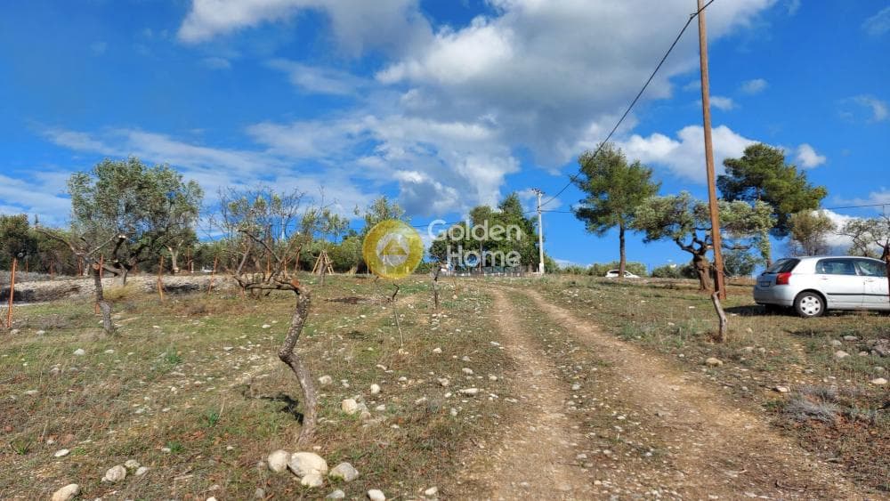 Parcel in Center, Koropi — Photo 3 of 8