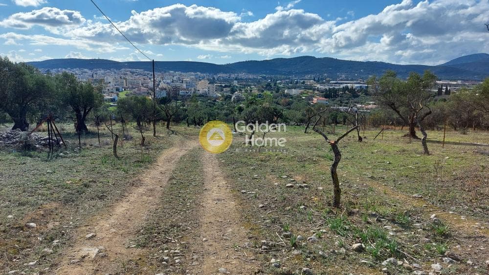 Parcel in Center, Koropi — Photo 4 of 8
