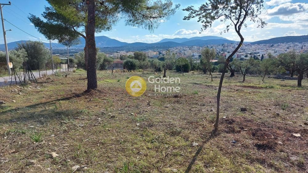 Parcel in Center, Koropi — Photo 5 of 8