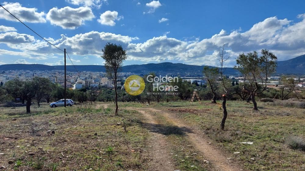 Parcel in Center, Koropi — Photo 6 of 8