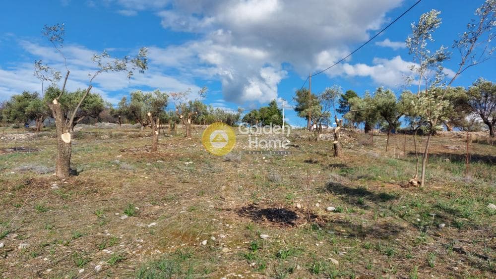 Parcel in Center, Koropi — Photo 7 of 8