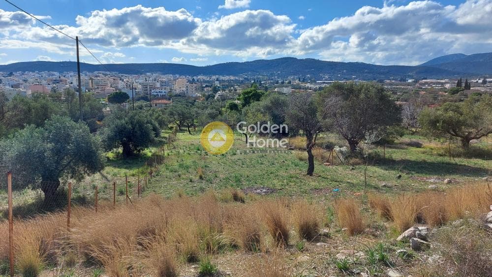 Parcel in Center, Koropi — Photo 8 of 8