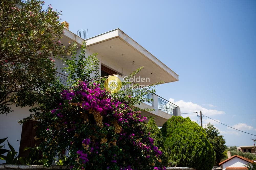 House in Selinountas, Aigio — Photo 6 of 7
