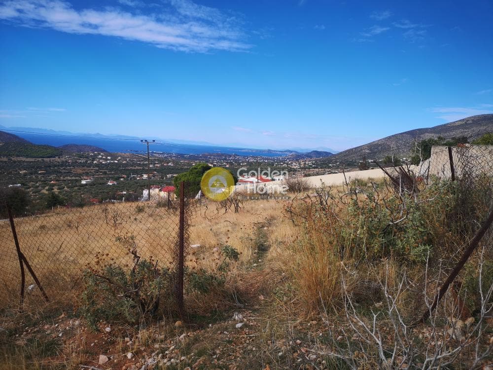 Parcel in Kalivia, Kalivia Thorikou — Photo 5 of 9