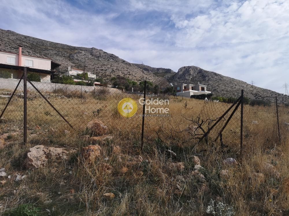 Parcel in Kalivia, Kalivia Thorikou — Photo 9 of 9