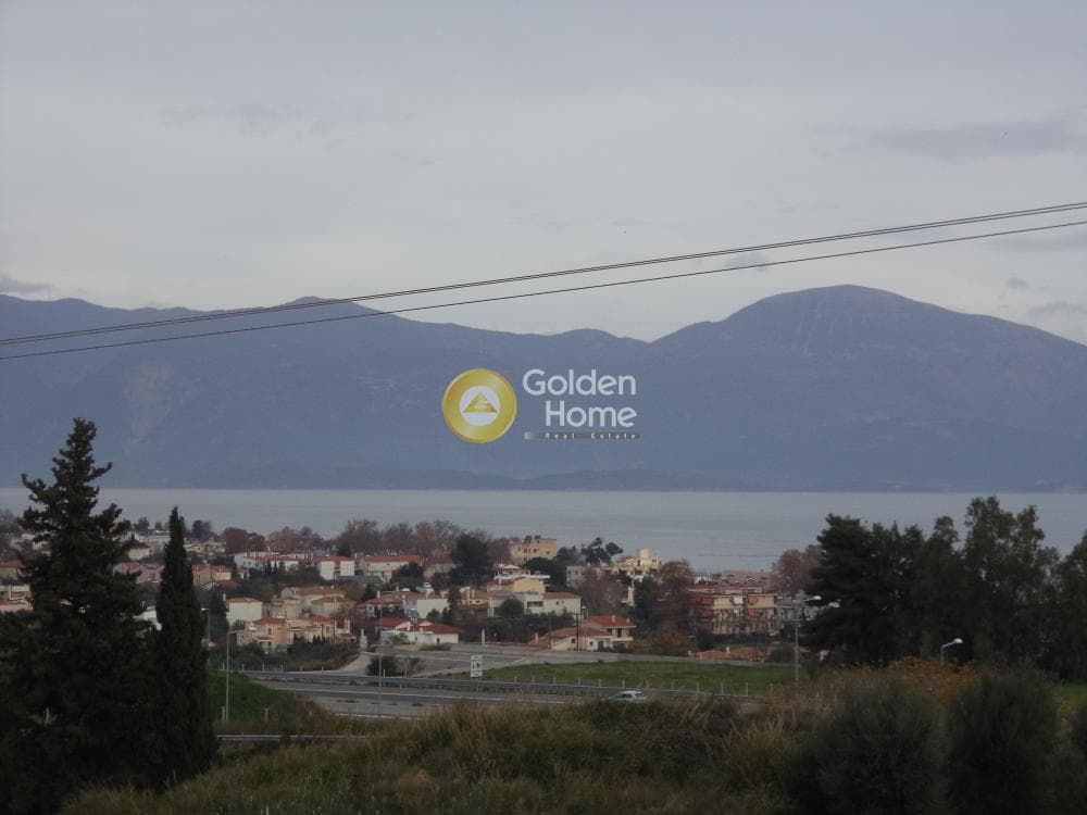 Μονοκατοικία στην Σελιανίτικα, Ερίνεο — Φωτογραφία 3 από 19